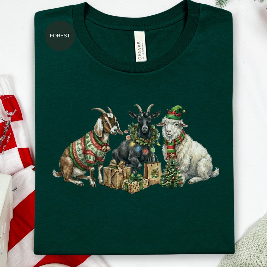 front-Forest-cropped